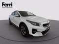 Kia XCeed 1.0 t-gdi Urban Gpl 111cv Weiß - thumbnail 13