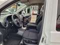 Mercedes-Benz Vito Tourer 114 CDI- 8 Sitzer - ProTourer XL Weiß - thumbnail 12