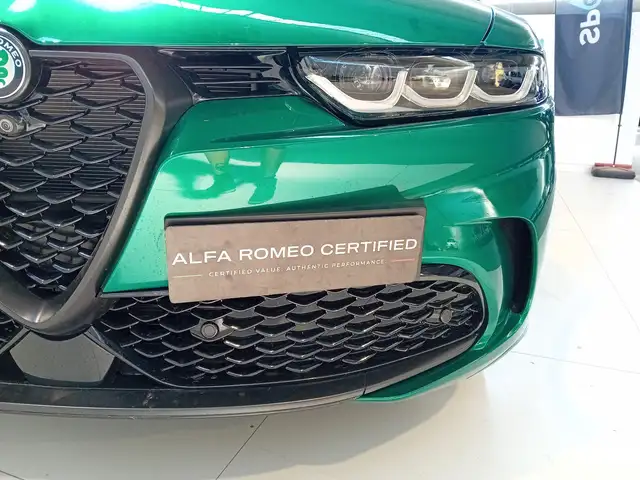 Alfa Romeo Tonale view 8