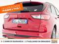 Ford Kuga 2.5 phev st-line x 2wd 225cv cvt Rosso - thumbnail 18