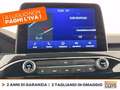 Ford Kuga 2.5 phev st-line x 2wd 225cv cvt Rosso - thumbnail 25