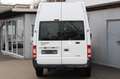 Ford Transit Kasten L2H3+Klima+Tempomat+AHK Blanc - thumbnail 6