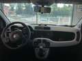 Fiat Panda Panda 1.2 City Cross s SOLO 6500 KM!!! 1 PROP! Bianco - thumbnail 5
