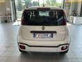 Fiat Panda Panda 1.2 City Cross s SOLO 6500 KM!!! 1 PROP! Bianco - thumbnail 4