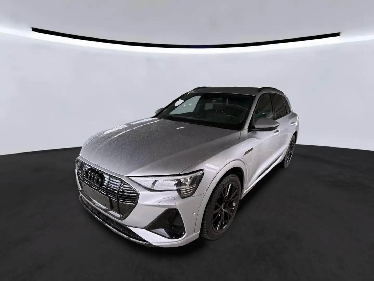 Audi e-tron 55 2x S LINE BLACK ACC/MEMORY/AMBI+/360° Zilver - 1