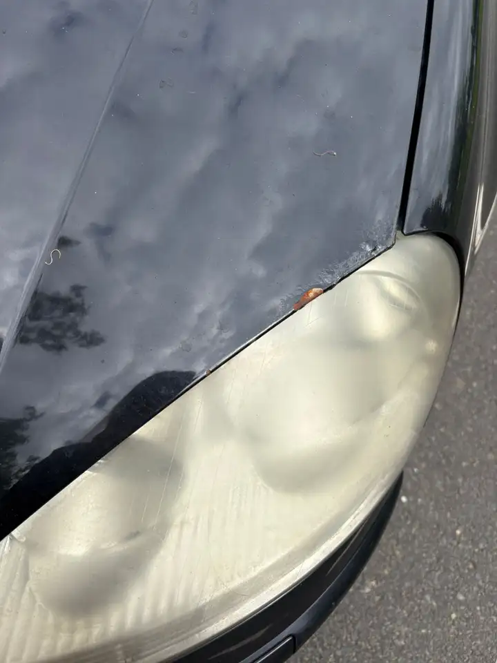 Volkswagen Golf Standard Model — photo 9
