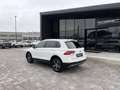 Volkswagen Tiguan 2.0 TDI SCR 4MOTION Executive BlueMotion Technolog Bianco - thumbnail 9