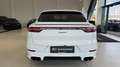 Porsche Cayenne coupe E-Hybrid Weiß - thumbnail 8