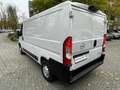 Opel Movano 2.2 CDTI L2H1 3,5t+Navi*R-Kam+Klima+Totwinkel Weiß - thumbnail 2