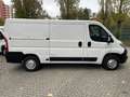 Opel Movano 2.2 CDTI L2H1 3,5t+Navi*R-Kam+Klima+Totwinkel Weiß - thumbnail 14