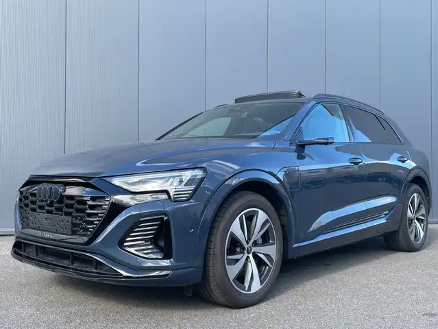 Audi Q8 e-tron 55 quattro S line ACC PANO MEMORY HEAT 20"