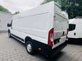 Citroen Jumper Grossraumkasten 35 L4H2 Control Heavy Blu Weiß - thumbnail 7
