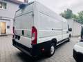 Citroen Jumper Grossraumkasten 35 L4H2 Control Heavy Blu Weiß - thumbnail 5