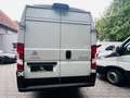 Citroen Jumper Grossraumkasten 35 L4H2 Control Heavy Blu Weiß - thumbnail 6