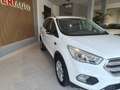 Ford Kuga 1.5 EcoB. Auto S&S Titanium 4x2 120 - thumbnail 4