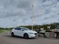 Volvo V40 2.0 T2 Momentum WIT METALLIC CAMERA HALF LEER FULL Wit - thumbnail 5