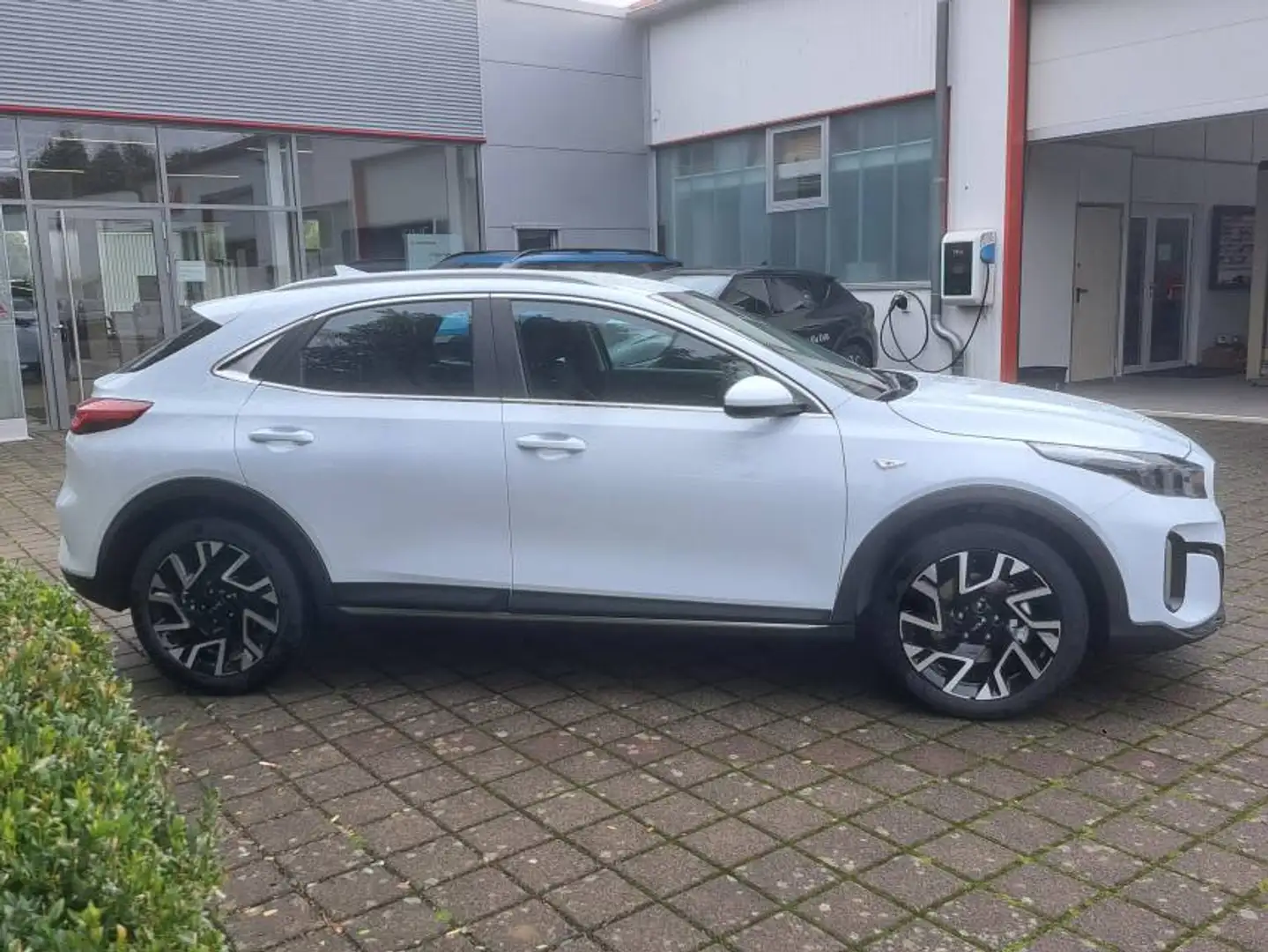 Kia XCeed Vision Weiß - 2