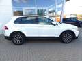 Volkswagen Tiguan 2.0 TDI DSG Life *AHK*Panorama*LED* Blanc - thumbnail 2