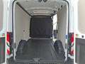Ford Transit 310 L2H2 2.0 EcoB 130PS Trend Weiß - thumbnail 7