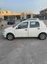 Fiat Punto 5p 1.2 Dynamic Bianco - thumbnail 2