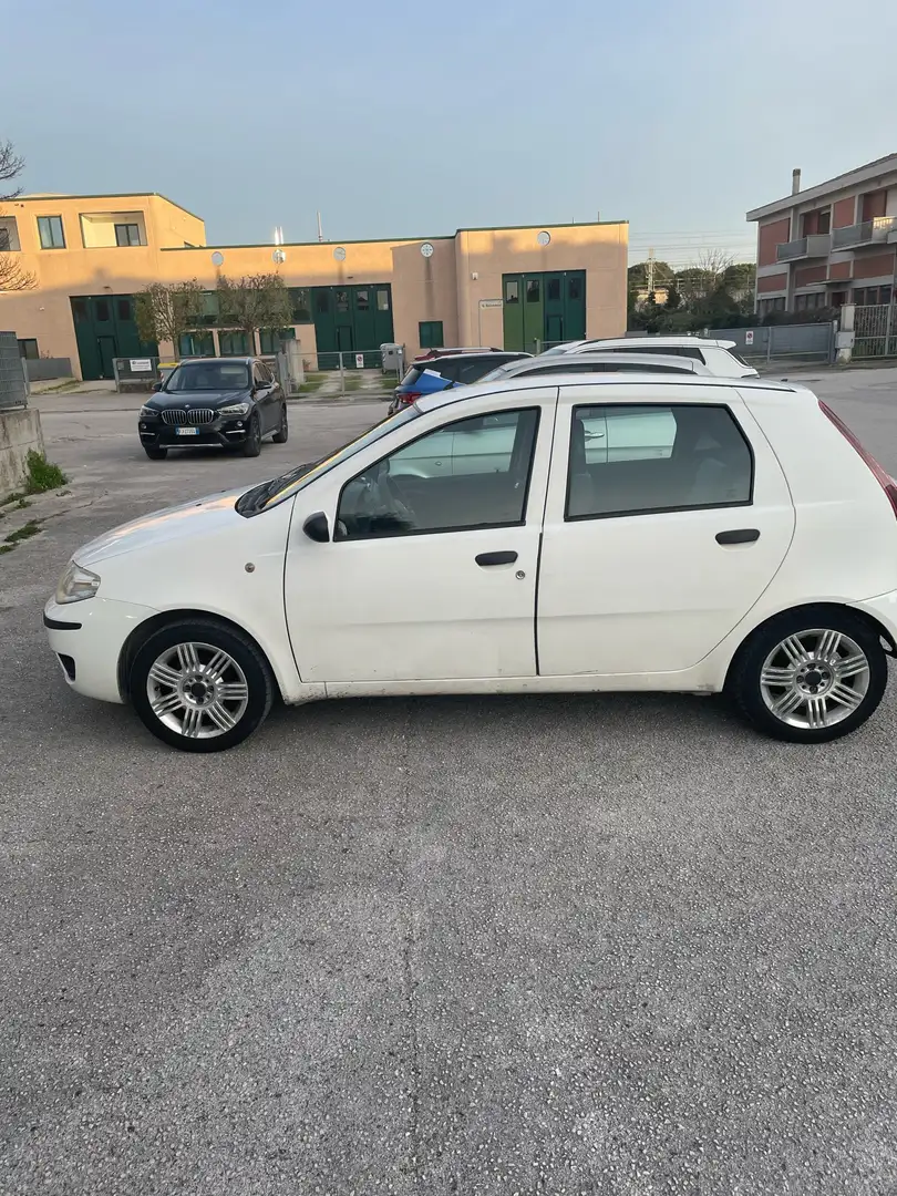 Fiat Punto 5p 1.2 Dynamic Bianco - 2