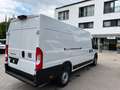 Fiat Ducato Maxi 35 L4H2 RüKa CarPlay Allwetter Klima Wit - thumbnail 5