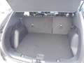 Ford Kuga 1,5 EcoBoost Titanium 150PS Benzin WP Grau - thumbnail 7