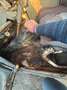 Citroen 2CV Furgonette Grigio - thumbnail 8