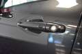 Kia Niro EV e-Niro Edition 7 Carplay Temp Kam 1-Hand Grau - thumbnail 15