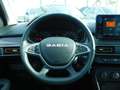 Dacia Sandero Streetway 1.0 TCe ECO-G GPL Expression Verde - thumbnail 10