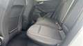 Ford Focus Active SW Active Wagon 1.5 EcoBlue 120cv Co-pilot bijela - thumbnail 18