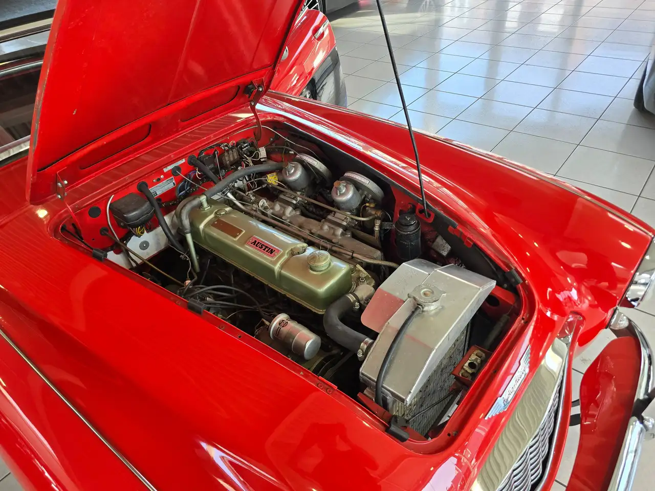 Austin-Healey 100 BN6 / Overdrive / Prachtstaat!, foto 2