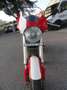 Ducati Monster 1000 MONSTER 1000 DARK Rouge - thumbnail 3