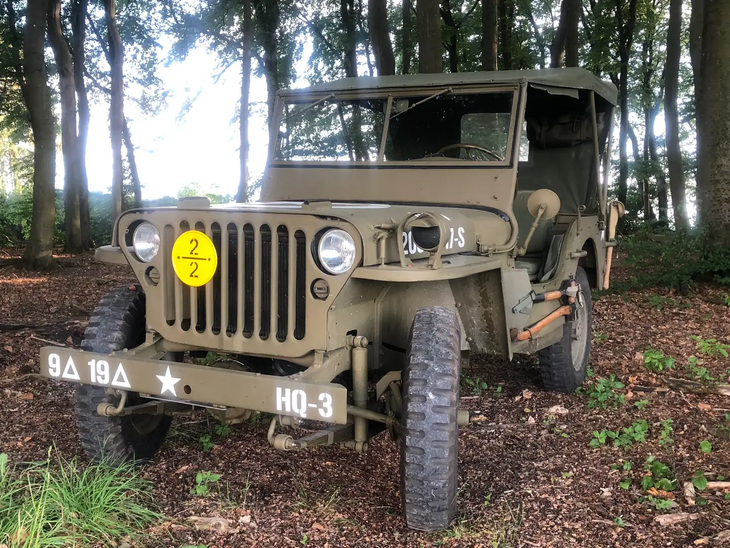 Jeep Willys MB Verde - 2