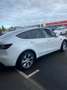 Tesla Model Y Blanc - thumbnail 3