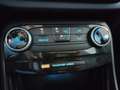 Ford Puma 1.0 ecoboost h Titanium s&s 125cv Blu/Azzurro - thumbnail 12