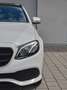 Mercedes-Benz E 350 d T 4-Matic/LED/Kam/SchiebeD/Widescreen/AhK Weiß - thumbnail 1