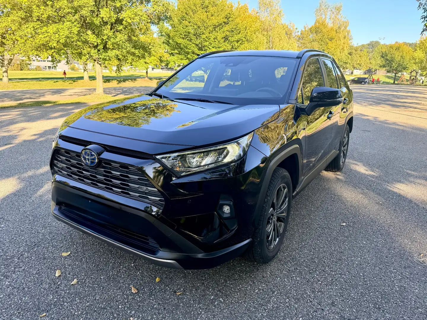 Toyota RAV4 Hybrid 4x2 Basis Schwarz - 1
