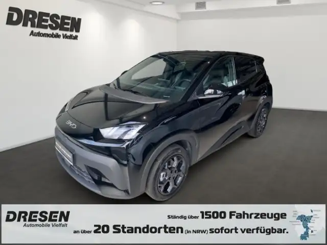 BYD Dolphin Comfort 43,2 kWh CarPlay Rückfahrkamera Navi