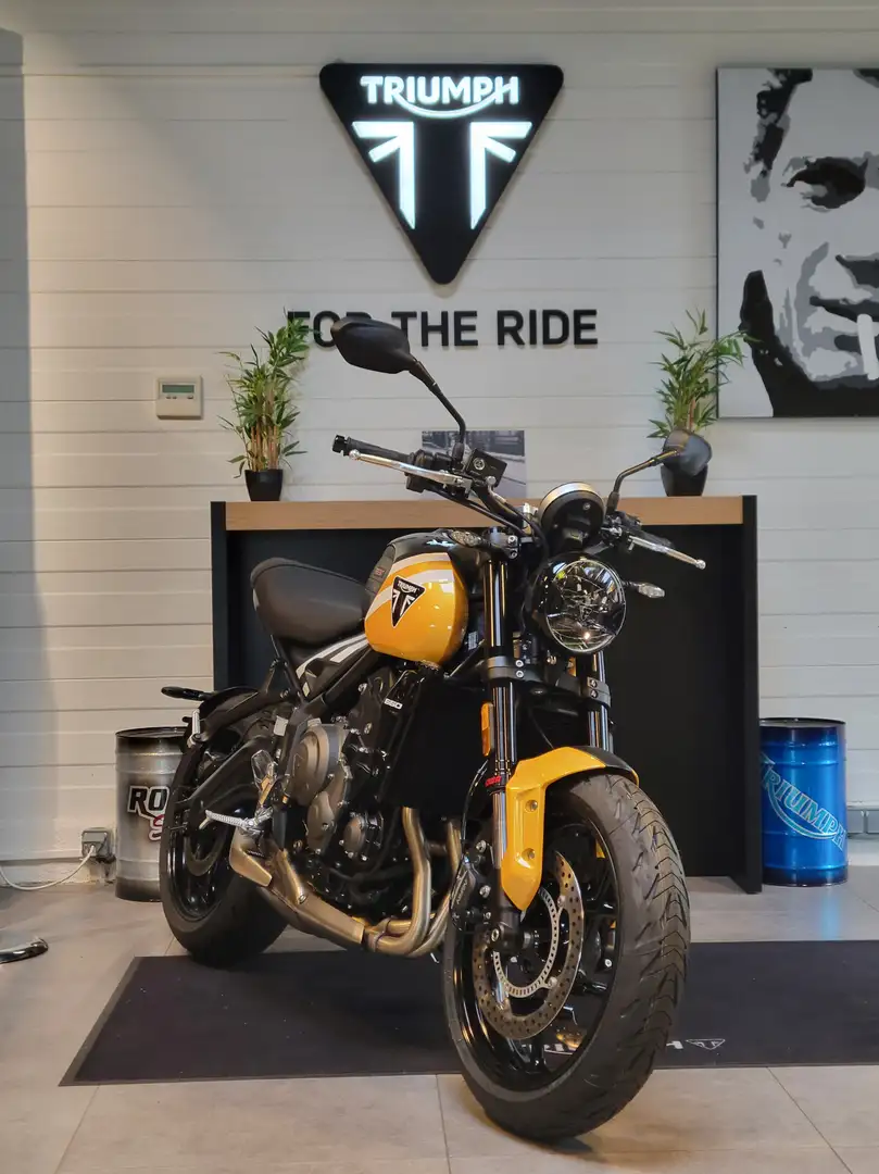 Triumph Trident 660 Modrá - 2