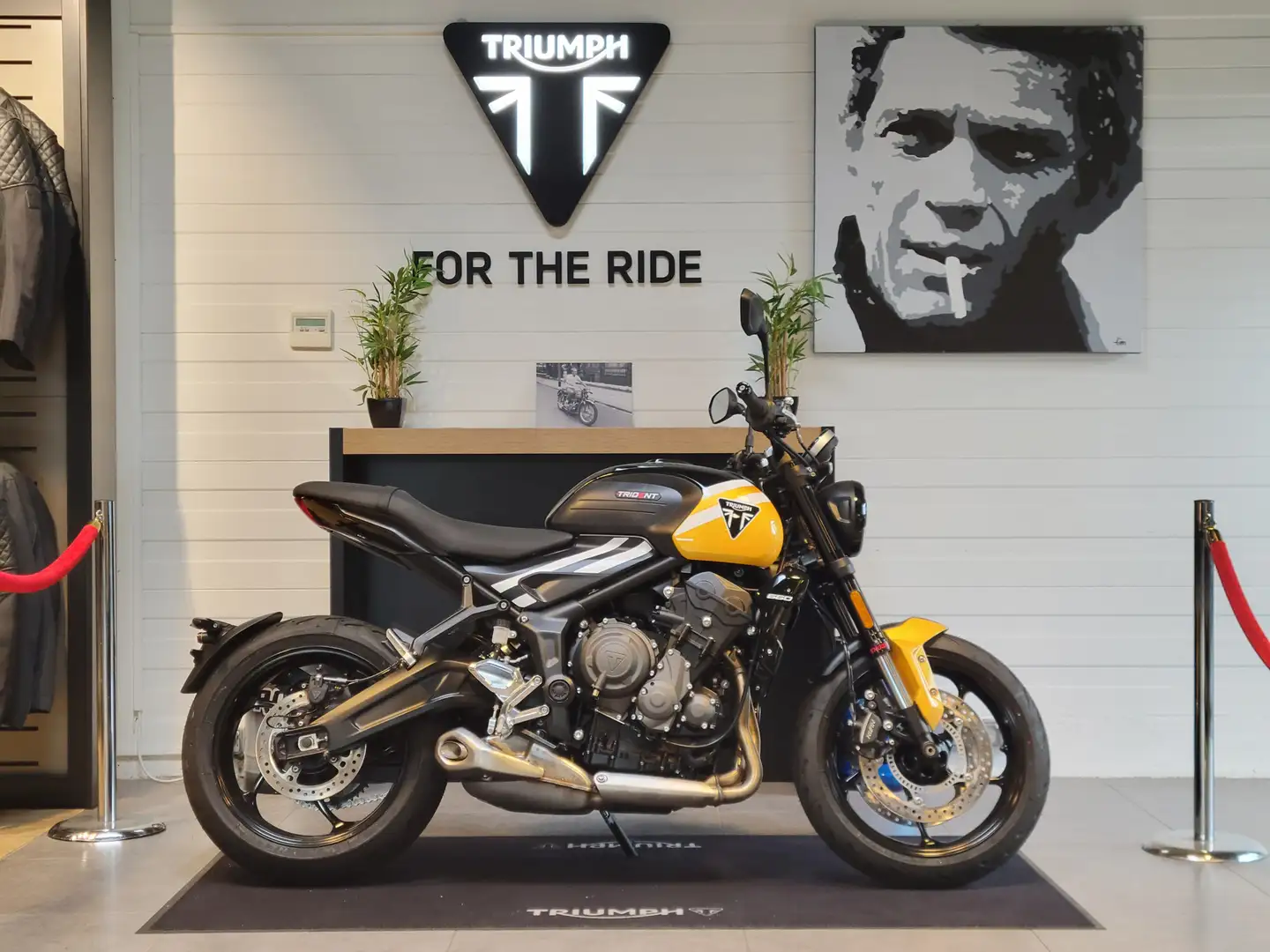 Triumph Trident 660 Modrá - 1