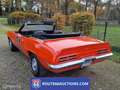Pontiac Firebird cabriolet | 1969 | Route 66 Auctions Zwart - thumbnail 5