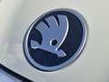 Skoda Kodiaq 1.5 TSI PHEV Business Edition PANO Grijs - thumbnail 23