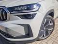 Skoda Kodiaq 1.5 TSI PHEV Business Edition PANO Grijs - thumbnail 7