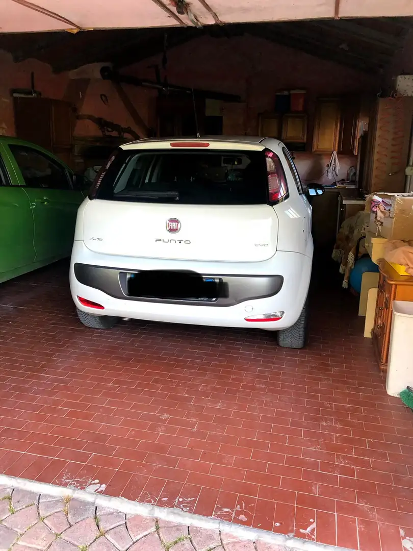 Fiat Punto Evo 5p 1.3 mjt Dynamic 75cv Blanc - 2