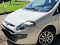 Fiat Punto Evo 5p 1.3 mjt Dynamic 75cv Blanc - thumbnail 4