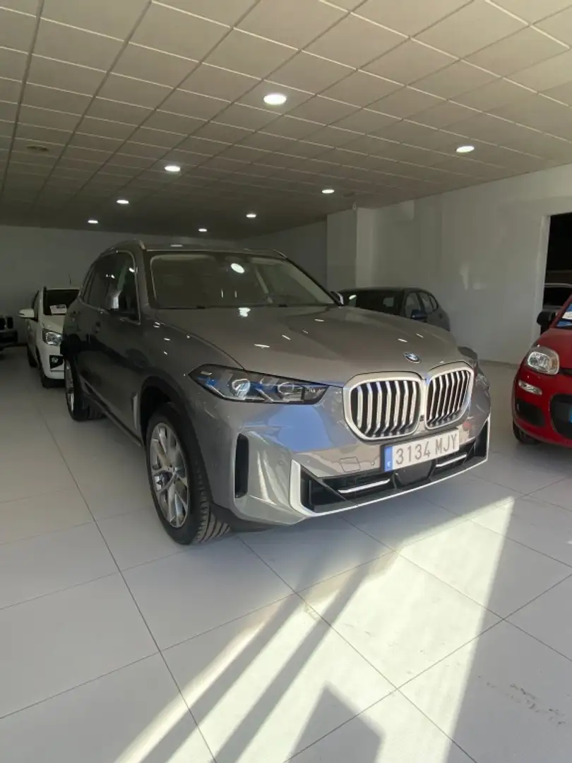BMW X5 xDrive 30dA xLine Gris - 1