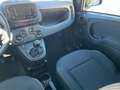 Fiat Panda Pandina 1.0 firefly hybrid *BLACK FRIDAY* Nero - thumbnail 10