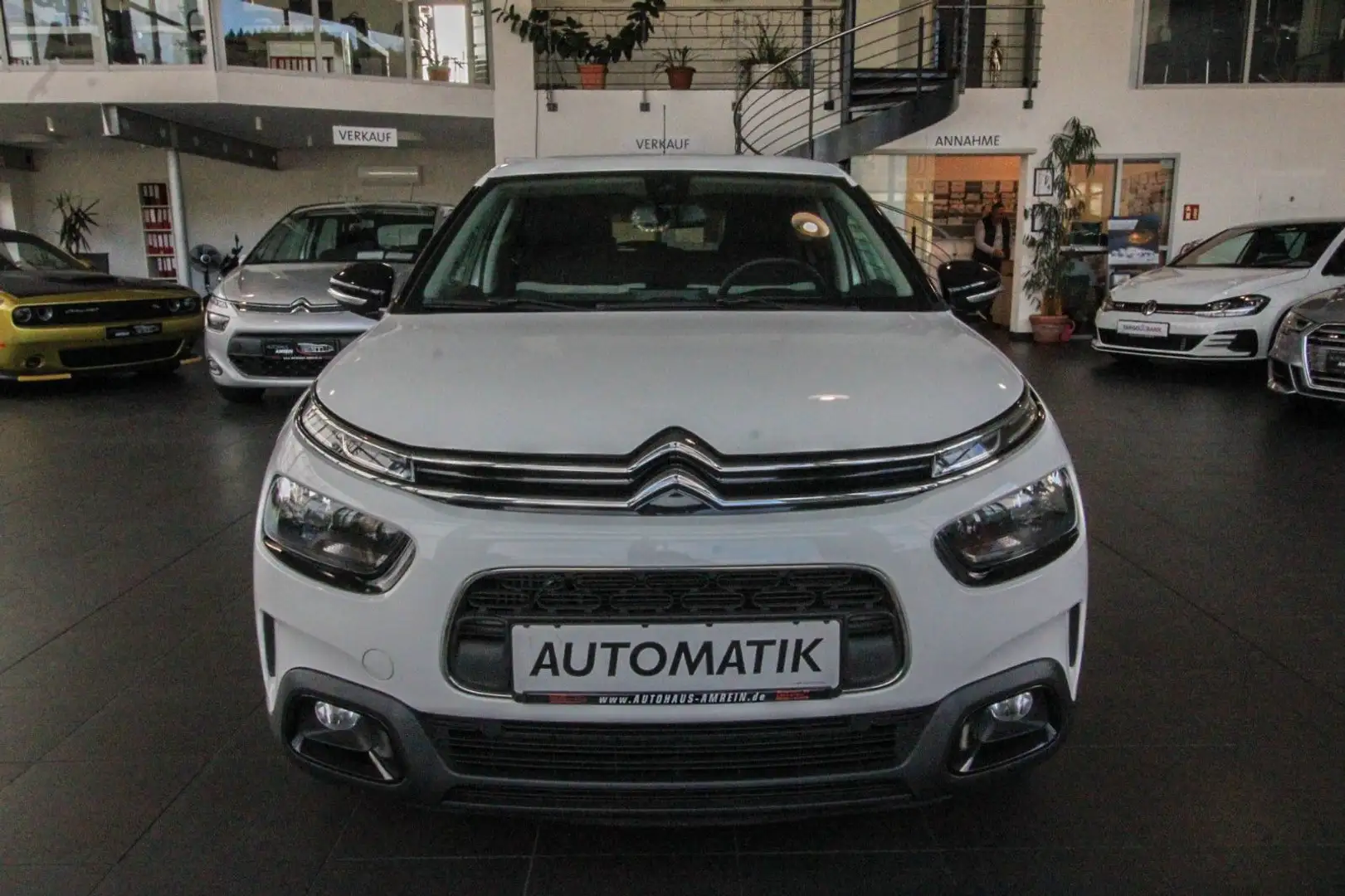 Citroen C4 Cactus Feel/Drive-Assist/Kamera/Navi/Sitzh Weiß - 2