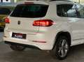 Volkswagen Tiguan CityScape BMT 4Motion*DSG*Bi-Xenon*AHK*Pano*Euro6 Weiß - thumbnail 10